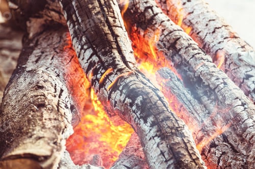 Preview: Bonfire
