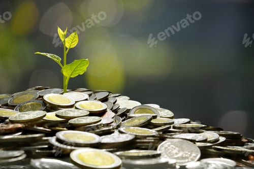 Preview: business, saving, growth, economic concept