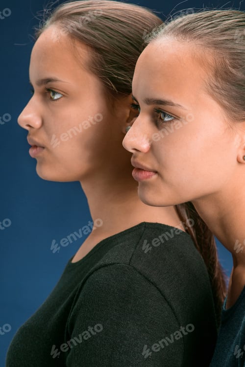 Preview: Portrait Of Two Beautiful Twin Young Women