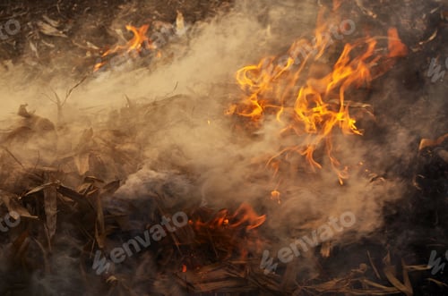 Preview: Flames of fire with smoke on a black background