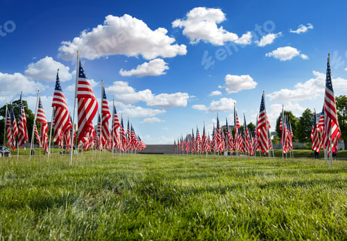 Preview: Flags Honoring Service Members on a Sunny Day