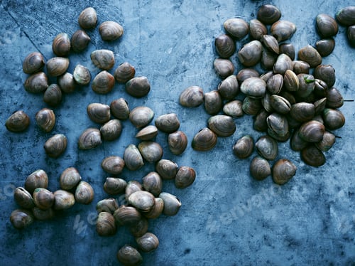 Preview: Scattered chestnuts on a blue textured surface.
