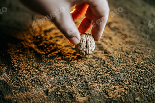 Preview: Gentle hands planting seeds in rich soil, fostering new life and growth