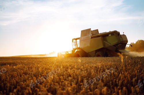 Preview: Modern industrial combine harvester harvests wheat cereals on a summer day. Rich harvest concept.