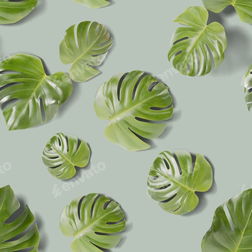 Preview: Seamless pattern with monstera leaves on green background. Green tropical jungle monstera leaves wit