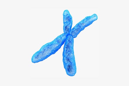 X-shaped aggregate of textured cylindrical forms