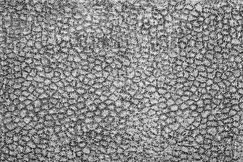 Preview: The Abstract Textured Surface Of Leather Of Gray Color With A Silvery Stamping Closeup