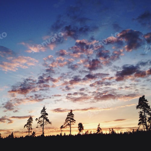 Preview: Sunset trees