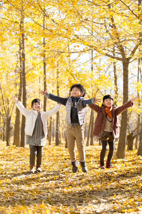 Preview: Three children catching falling leaves