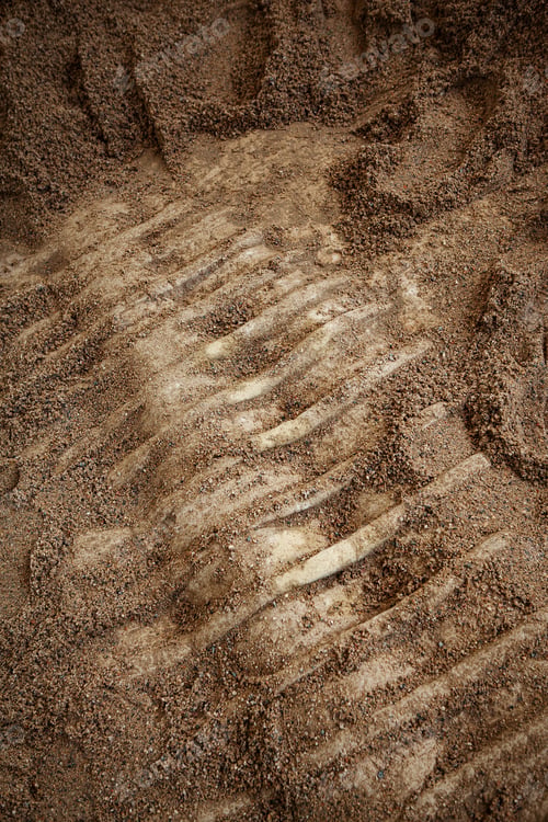 Preview: Maybe a mammoth maybe a dinosaur