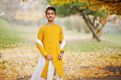 Preview: In indian traditional clothes