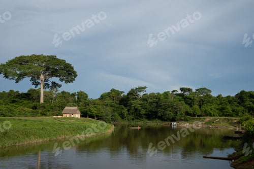 Preview: Cabin in the amazon river