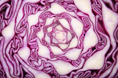 Preview: Texture of cut red cabbage as background, closeup