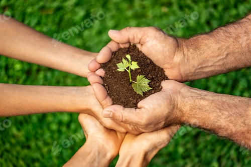 Preview: Group of people holding young plant in hands