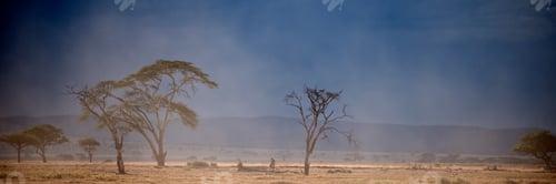 Preview: Landscape of Serengeti National Park, Serengeti, Tanzania