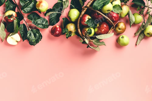 Preview: Flat-lay of fresh apples with leaves and branches on pink background