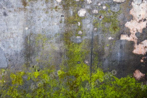 Preview: Stone wall