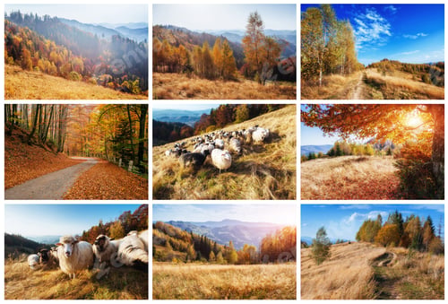 Preview: Comfortable houses at sunset. Carpathians. Ukraine Europe
