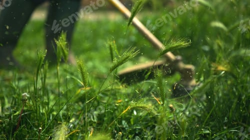 Preview: Lawn trimming with handheld string trimmer grass cutter and mower