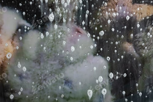 Preview: Background Wet- Raindrop Realistic. Water Splash Shower- Bad Weather. Window- Soap Foam. Rainwater