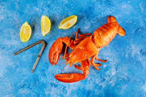 Preview: Red lobster with lemon and freshly boiled is a delicious dish to enjoy