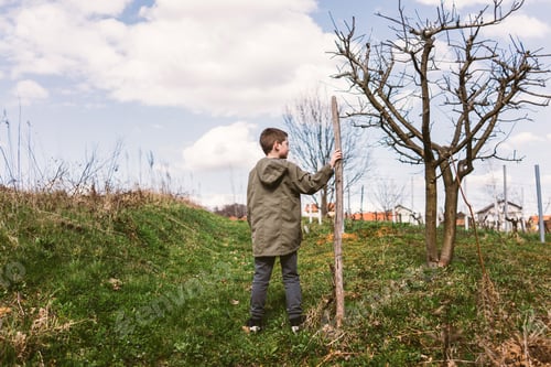 Preview: Boy in the countryside