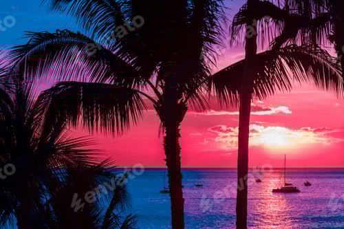 Preview: Tropical sunset palm trees with sailboats off shore in silhouette.