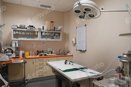 Preview: Veterinary operating room preparing for animal surgery