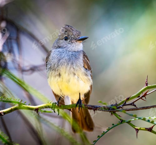 Preview: A Travel Around the world with beautiful Ecuador picture