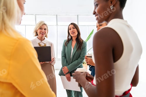 Preview: Group of businesswomen meeting in the office