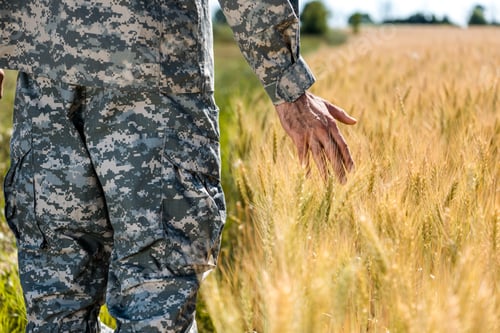 Preview: selective focus of soldier touching wheat in golden field