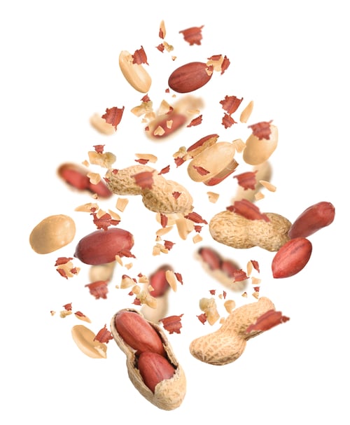 Preview: Unpeeled peanuts in air on white background