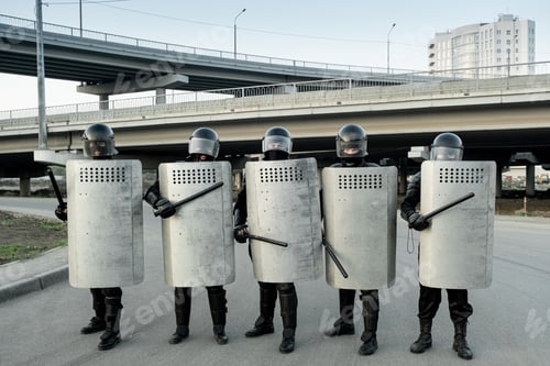 Vista previa: Guards protected by shields