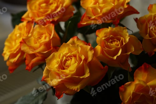Preview: beautiful bouquet of orange roses with delicate petals