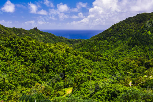 Preview: Inner Rarotonga, Cook Islands
