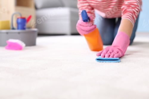 Preview: Woman cleaning carpet at home