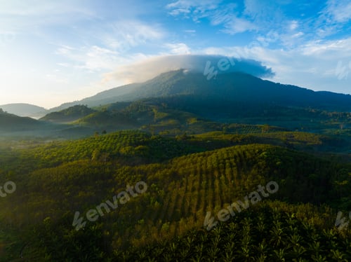 Preview: Aerial view over green forest mountain Blue sky background