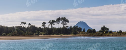 Preview: Landscape near Whakatane, Bay of Plenty, North Island, New Zealand