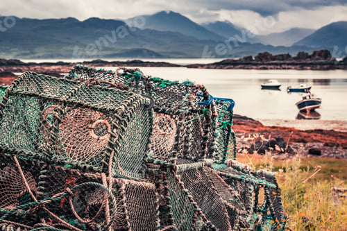 Preview: Colored cage for lobster on shore in summer, Scotland