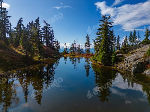 Preview: Lake on top of a Mountain with colorful wild flowers and trees in Fall Season.