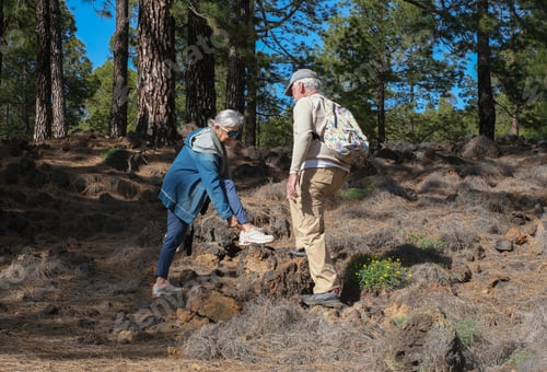 Preview: Elderly carefree couple hiking in outdoors mountain excursion enjoying healthy lifestyle