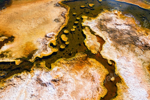 Preview: Bacteria Mat and Water