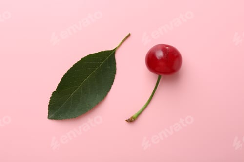 Vista previa: Fresh ripe cherry and leaf on pink background, top view