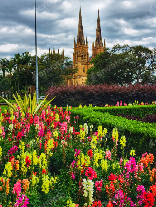 Preview: Garden