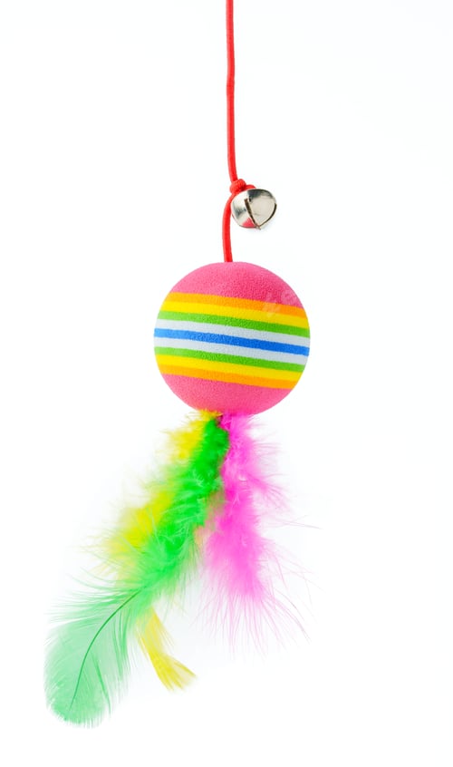Preview: Cat toys isolated on white background studio shot