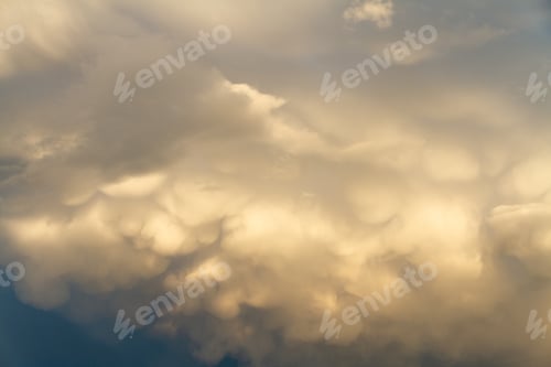Vorschau: Goldene flauschige Cumuluswolken im blauen Himmel, beleuchtet von der untergehenden Sonne.
