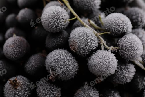 Preview: Ripe frozen black currants as background, above view