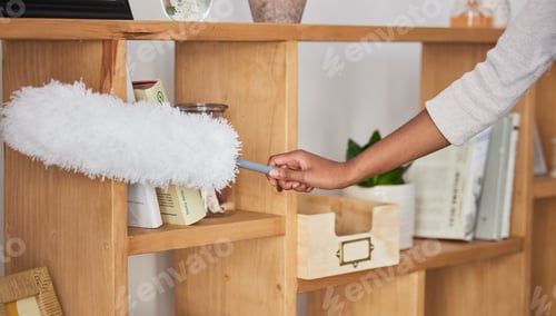 Preview: Cleaner woman, duster and home with shelf, wood or display to remove dust, dirt or clean living roo