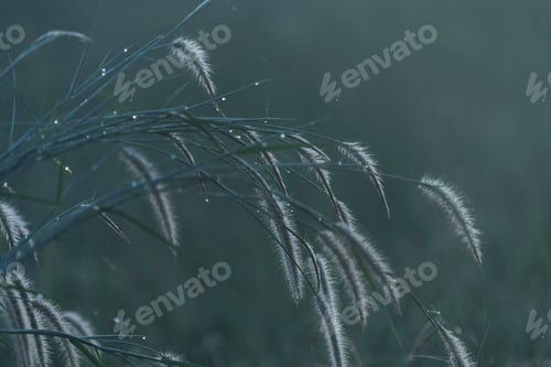 Preview: vintage flower image