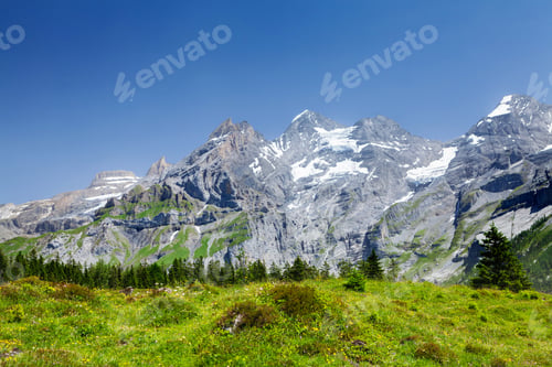 Preview: Swiss Alps mountains and blooming meadow